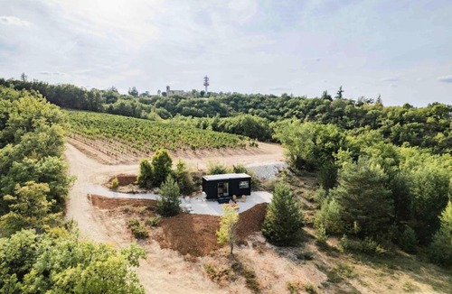 Villeseque Cabin | Mas del Périé - Parcel Tiny House - Tiny House entre vignes et vallée, près de Cahors MAE-2263