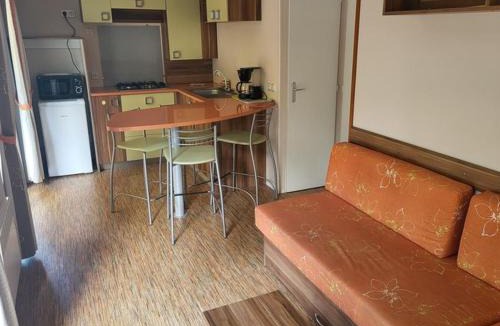 Salles Other | Mobil-home 29m² avec terrasse à Salles - API-1-52-426