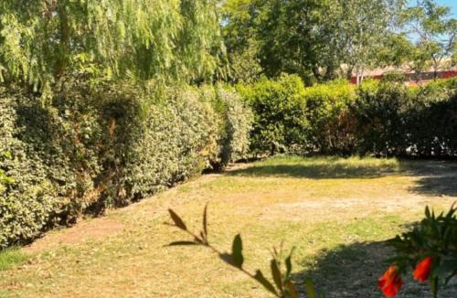 Vinca Other | Mobil home animaux admis - 4 pers. - API-1-52-2373