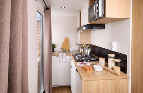Arles-sur-Tech Other | Mobil-home clim - 4 pers. - API-1-52-2954