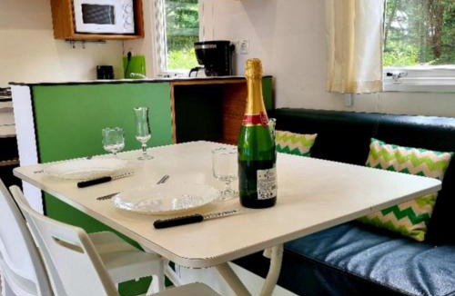 Nibelle Other | Mobil-home confortable pour 6 pers. avec terrasse près de Nibelle - API-1-52-1569