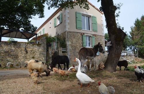 Gabillou House | Mobile home on a farm with swimming pool