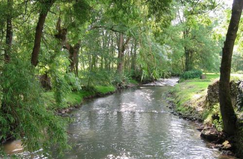 Parpecay House | Moulin paisible en Berry avec étang privé, proche du Château de Valençay et Zoo de Beauval - FR-1-591-18