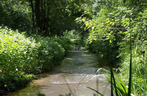 Parpecay House | Moulin paisible en Berry avec étang privé, proche du Château de Valençay et Zoo de Beauval - FR-1-591-18
