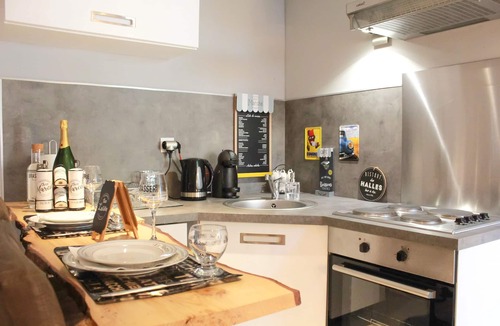 Saint-Martin-le-Vinoux Apartment | Mountain accommodation 4km from Grenoble center