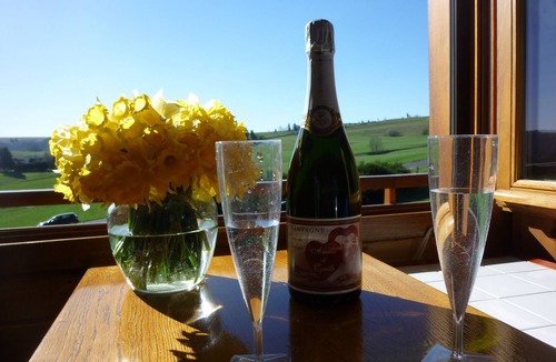 Besse-en-Chandesse Ski Chalet | Nice independent chalet-Buron in the volcano park