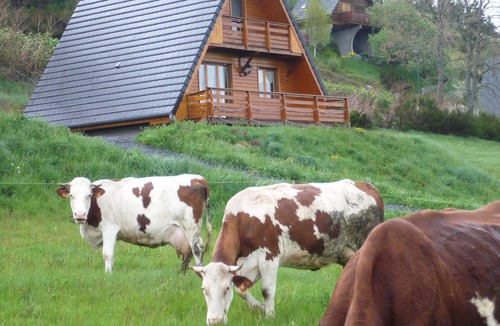 Besse-en-Chandesse Ski Chalet | Nice independent chalet-Buron in the volcano park