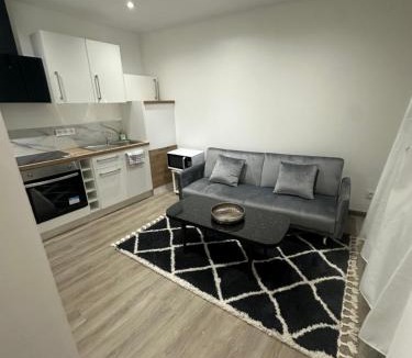 Ige Apartment | Normandy suites - APPARTEMENT RENOVÉ À 45 MIN DU MANS
