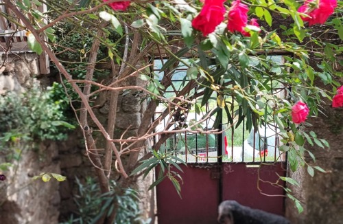 Saint-Andre-de-Majencoules House | Old stone house, modern renovated, quiet, terrace, mountains, space for 8
