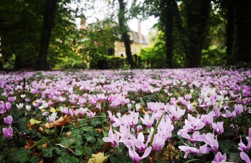 Meunet-Planches Bed & Breakfast | Parc de Lesseps