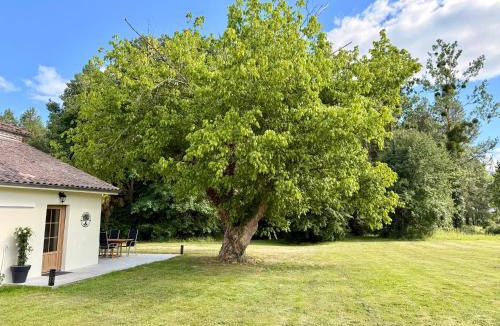 Ousse-Suzan Apartment | Parenthèse nature dans les Landes Carritz