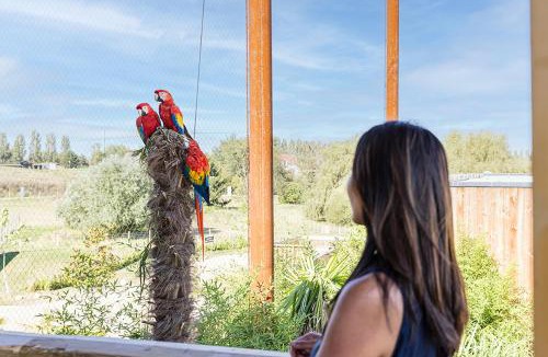 Crecy-la-Chapelle Cabin | Parrot World - Les Lodges