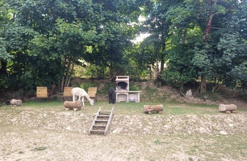 Saint-Julien-Labrousse RV Rental | "Pirate" Dome Alpacas and Starry Nights
