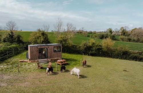 Landes-sur-Ajon Cabin | Pommiers - Parcel Tiny House - Tiny House en Normandie, près du Mont Saint-Michel MAE-0463