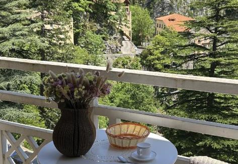 Prats-de-Mollo-la-Preste Apartment | Résidence Thermale