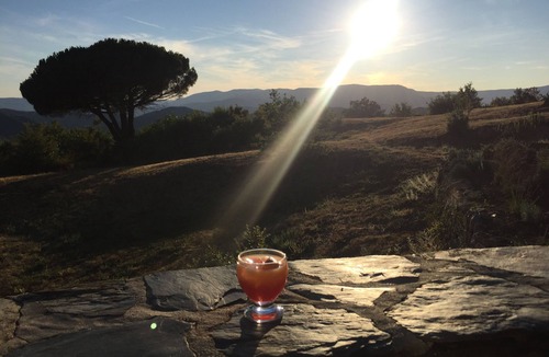Saint-Roman-de-Codieres House | Renovated farmhouse with all the comforts, calm and with a beautiful view