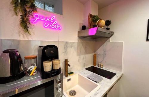 Souppes-sur-Loing Apartment | Secret Room Balnéo, Massage & Cinéma Duplex