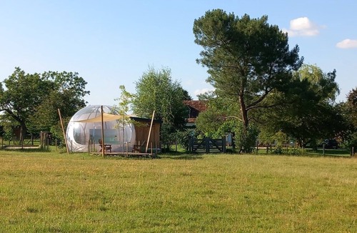 Herry Bed & Breakfast | Sleep under the starry night sky in our "Bulle des Alpagas.