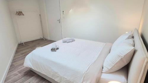 Issoire Apartment | Sous les Toits Yssoiriens - Centre-Ville