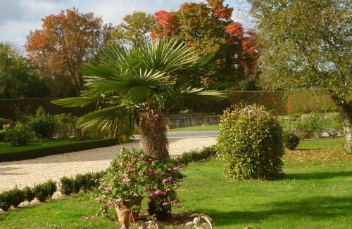 Vicq-sur-Nahon House | Spacieuse fermette près des châteaux & Zoo de Beauval avec activités et grand jardin - FR-1-591-218
