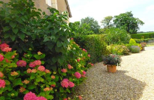 Vicq-sur-Nahon House | Spacieuse fermette près des châteaux & Zoo de Beauval avec activités et grand jardin - FR-1-591-218