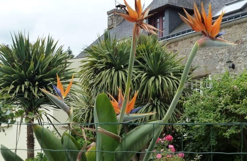 Baud House | Spacious Brittany Holiday Cottage with pool and gym
