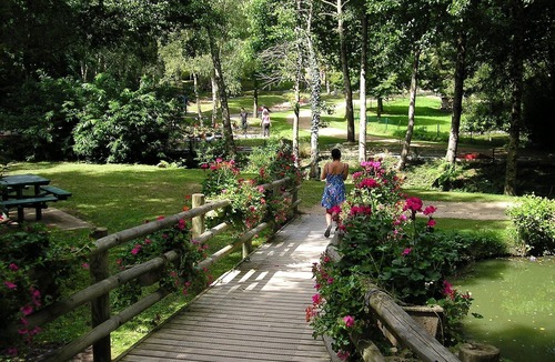 Pedernec Cottage | Spacious Cottage, sleeps 6, Private Pool, Barbeque, Gardens and Patio, WIFI, TV