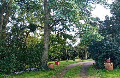 Montoldre House | Spacious house, pets allowed, enclosed land 3000m2 with very nice view !