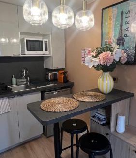 8th Arrondissement Apartment | StTUDIO Champs Elysées