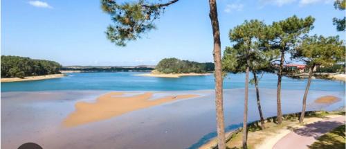 Soustons House | Studio de Charme entre pins,golf et ocean