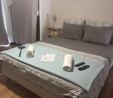 Puy-Guillaume Apartment | Studio piscine