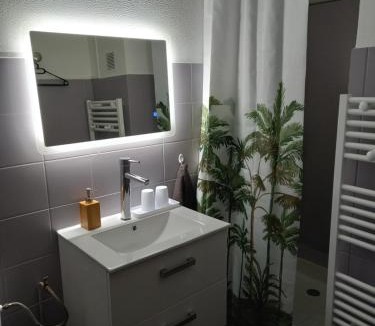 Revigny-sur-Ornain Apartment | Studio tout équipé