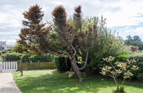 Morbihan House | Stunning private villa for 6 people with WIFI, TV and parking