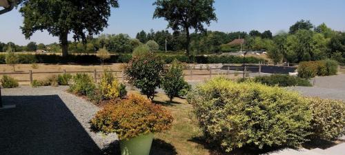 Saint-Yan Bed & Breakfast | Suite climatisée 60M2 1 grande chambre LE CLOS DES PRAIRIES