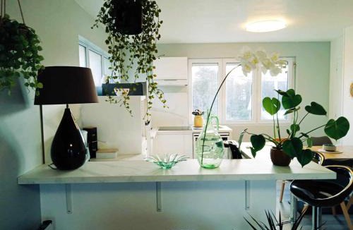 Caudan Apartment | Superbe T3 terrasse et jardin centre bourg