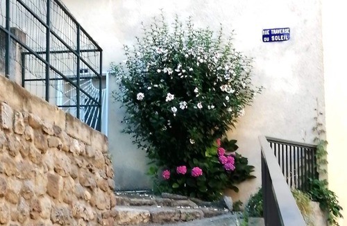 Vernet-les-Bains Apartment | T2 Dans Maison DE Village Avec Jardin
