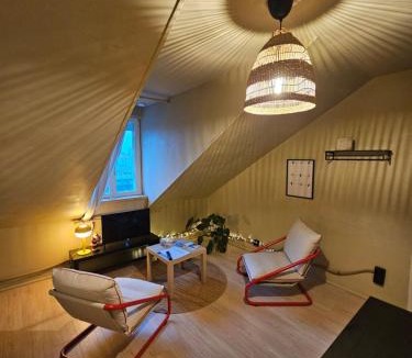 Vichy Apartment | T2 proche de la gare