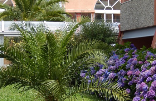 Dax Apartment | TERRASSES DE BORDA