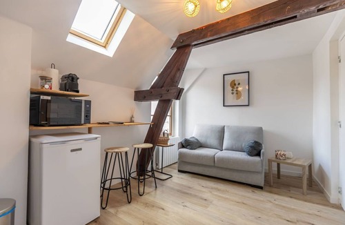Romorantin-Lanthenay Apartment | The Platanes Apartment 2: Castles and Beauval