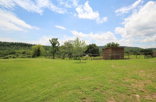 Saint-Martin-de-Salencey House | The Yellow Clown House