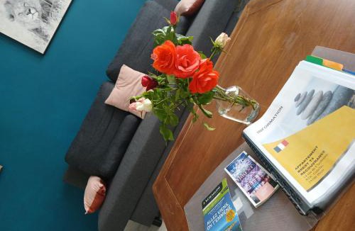 Rive Droite Apartment | Ty'brestoise proche centre - jardin- parking gratuit
