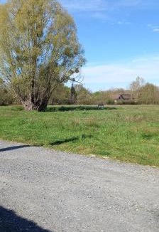 Beaufay Other | Un emplacement calme