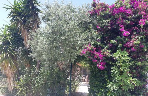 Saint-Andre Villa | Villa climatisée tt confort avec gd jardin arboré près d'Argelès sur Mer