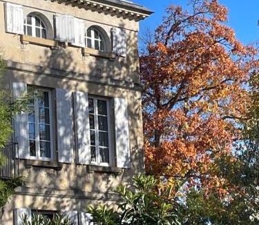 Bazas Bed & Breakfast | Villa Séquoia - Chambre calme et intime - SDB privée WC séparé