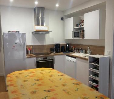 Anatole France Danton Apartment | Vivez en Duplex plein centre ville