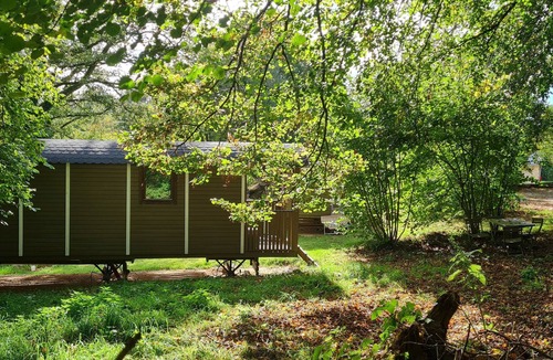 Locunole Cottage | Wellness break in a caravan - Nordic sauna & cold bath, nature and calm