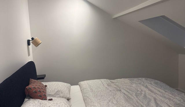 10 mnt from CDG airport, 2-bedroom apartment with free public parking