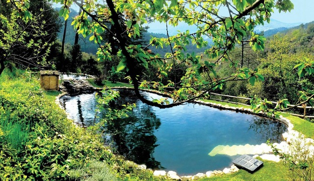 13th century Cévennes farmhouse with natural pool