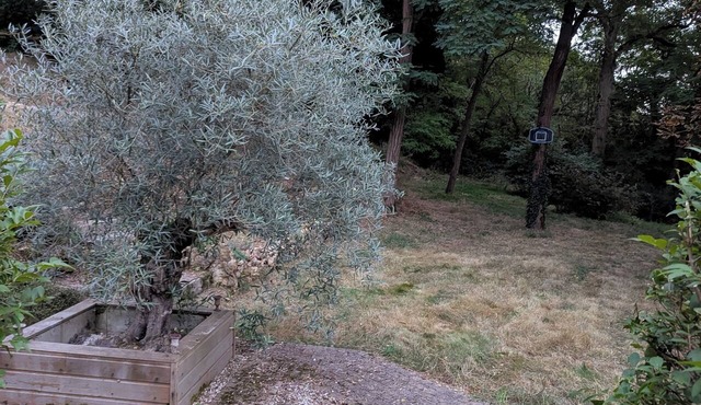 A haven of peace for family and friends in the Essonne countryside