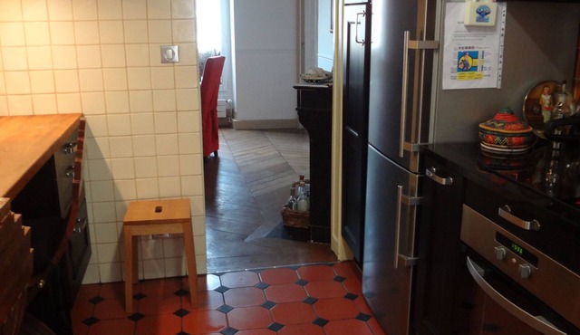A single room in a fancy 100 sqm flat downtown Paris.n